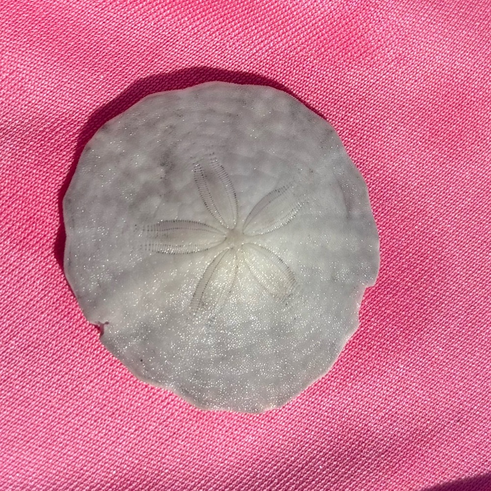 Meet your Posher, Jen mae